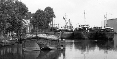 afbeelding schilkampen