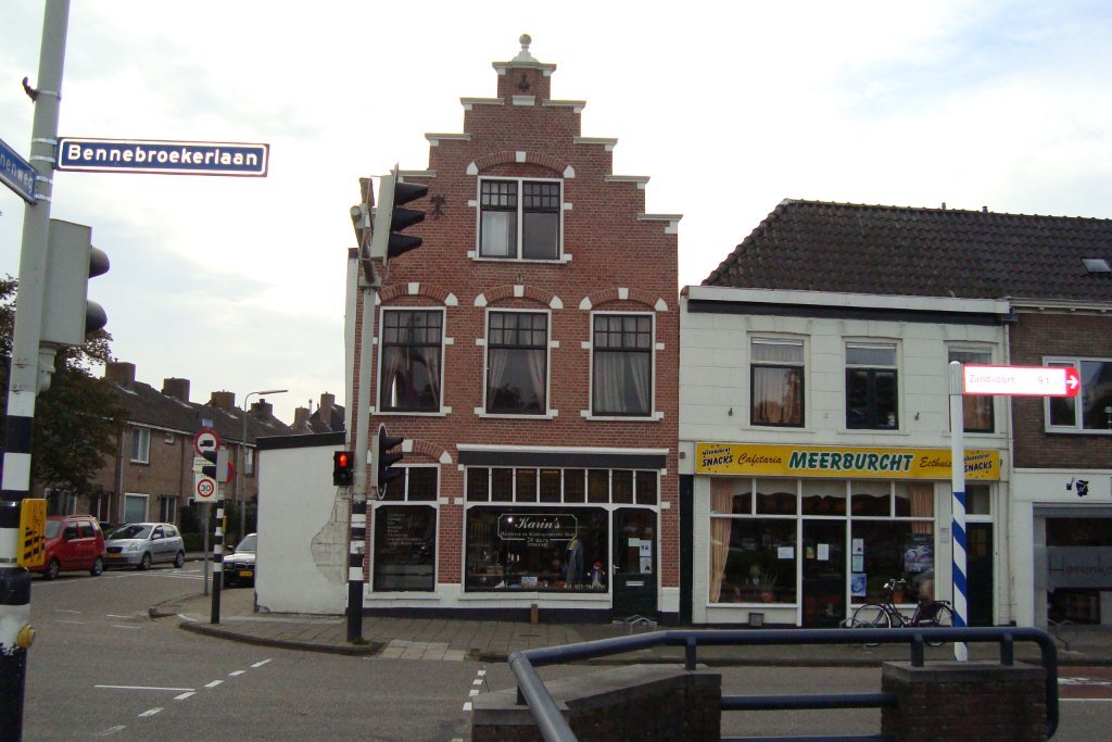 de zwarte hond