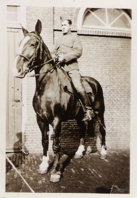 paard leger